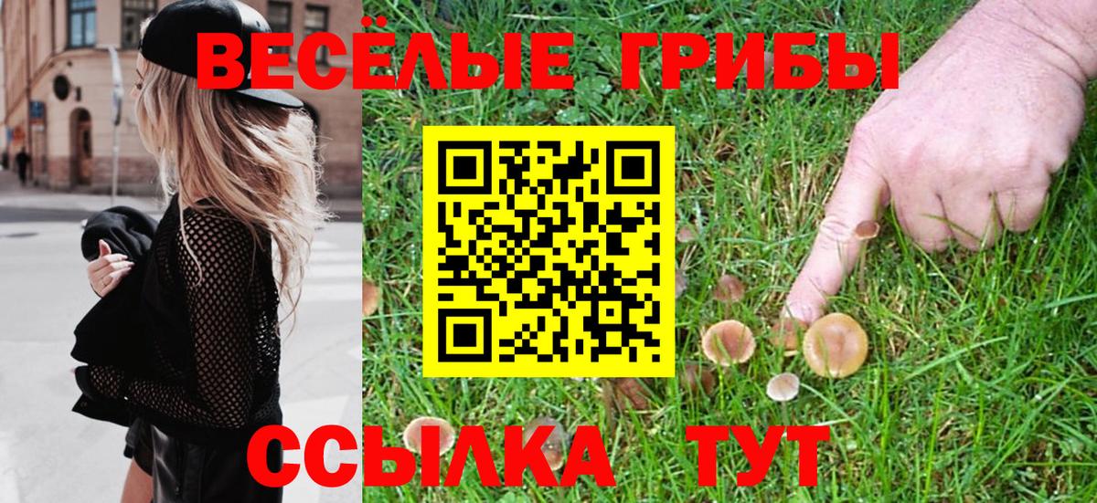 Галлюциногенные грибы прущие грибы Кинешма